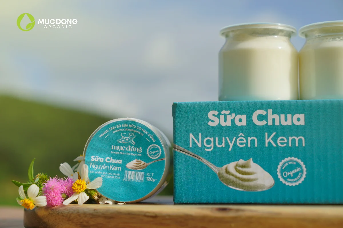 Hình ảnh sữa chua nguyên kem Mục Đồng