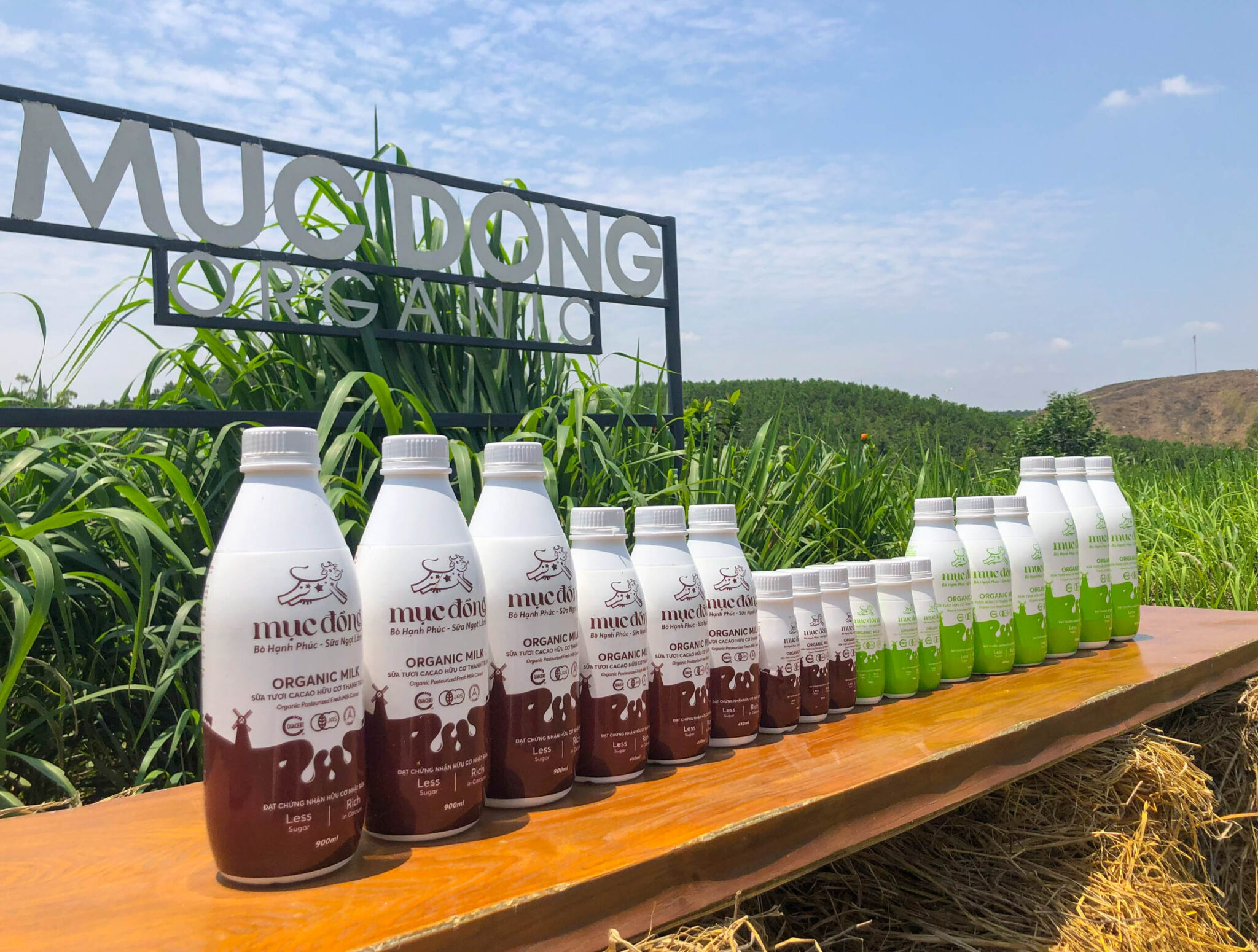 Hình ảnh về sữa tươi hữu cơ thanh trùng vị ít đường và vị cacao