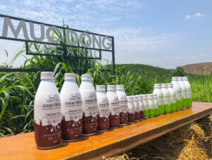 Hình ảnh về sữa tươi hữu cơ thanh trùng vị ít đường và vị cacao