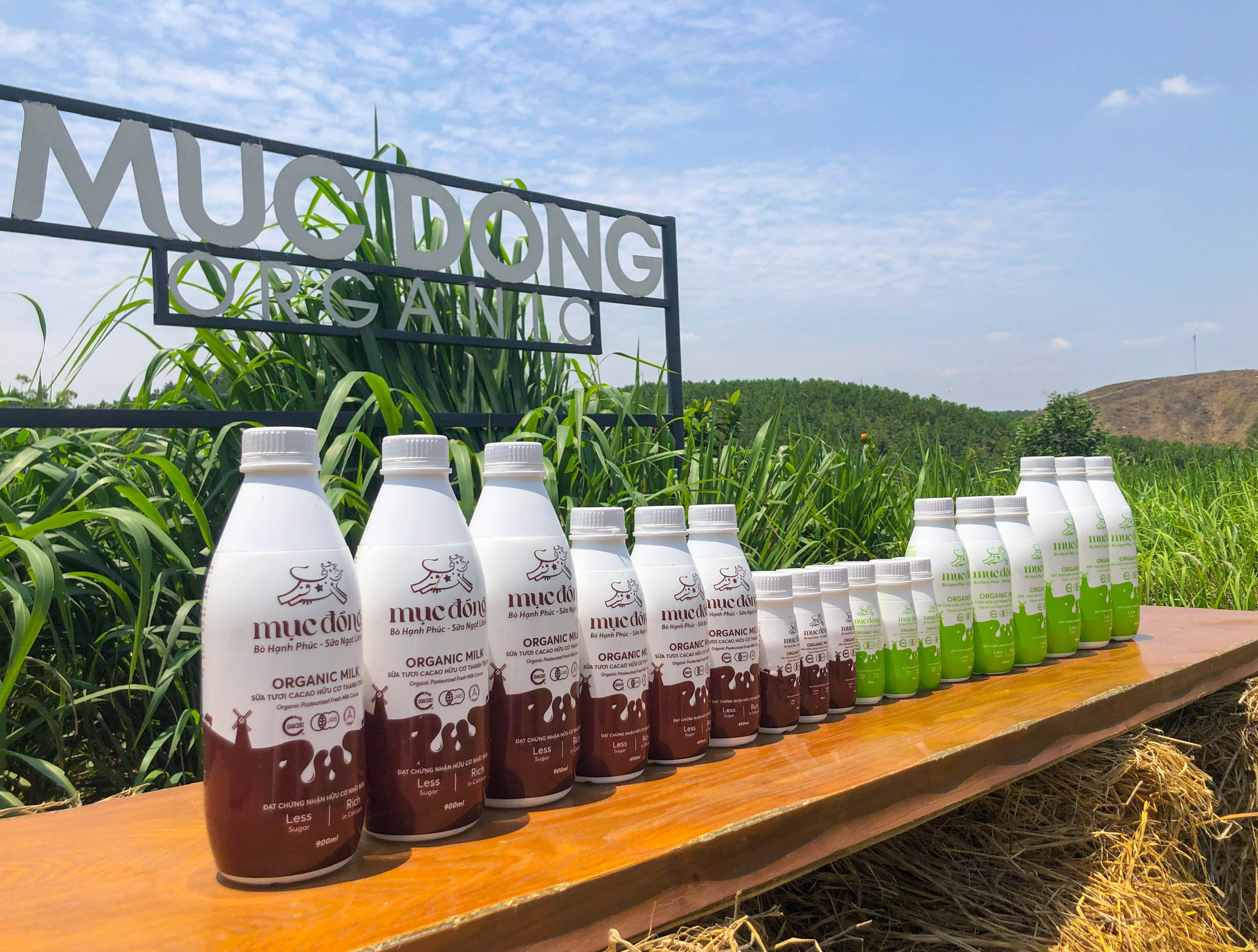 Hình ảnh về sữa tươi hữu cơ thanh trùng vị ít đường và vị cacao