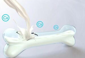 Hình minh họa cho thấy lợi ích của canxi tự nhiên đối với xương