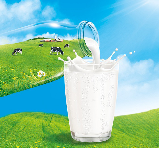 Hình ảnh chai sữa hữu cơ, bò sữa và đồng cỏ
