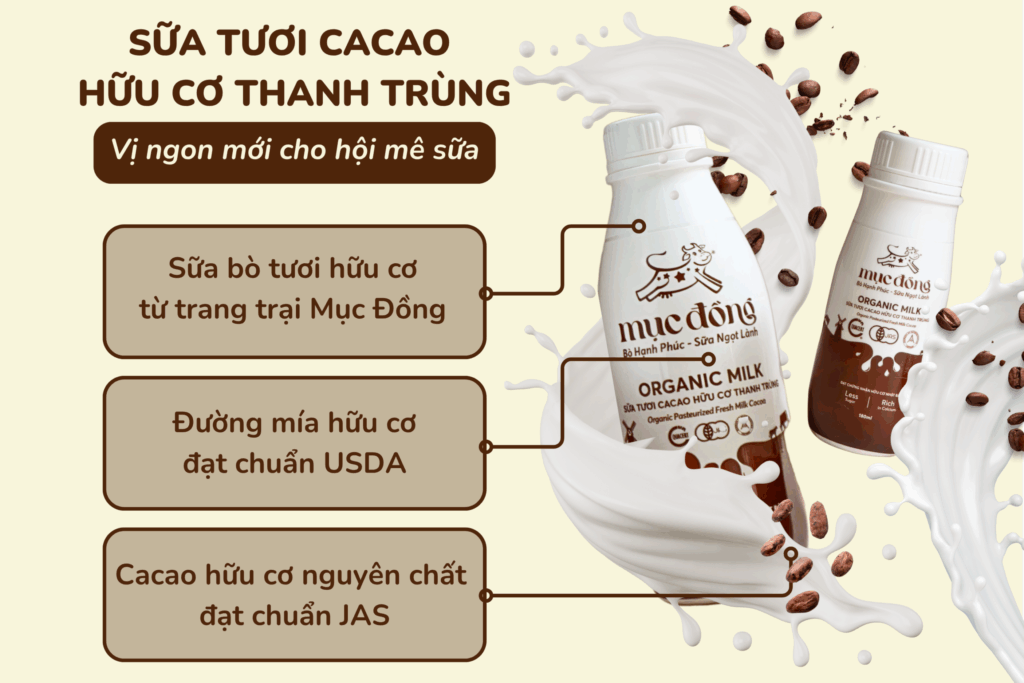 Sữa tươi cacao hữu cơ thanh trùng