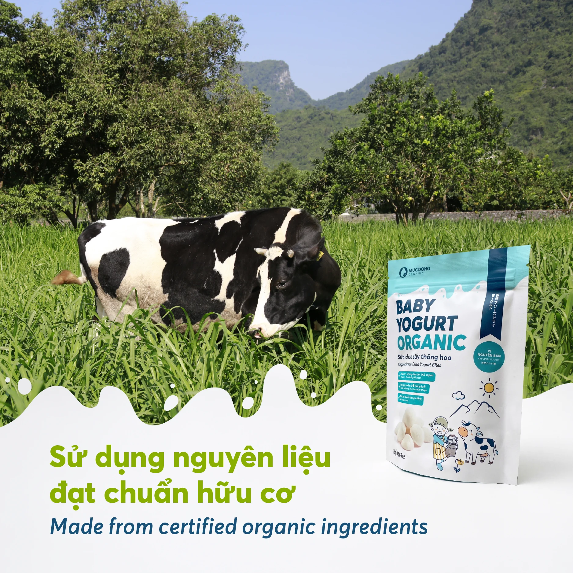 sữa chua sấy_ra mắt-05