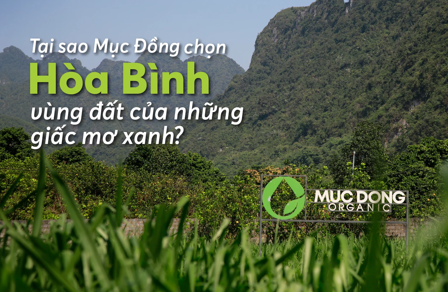 cover vung dat hoa binh