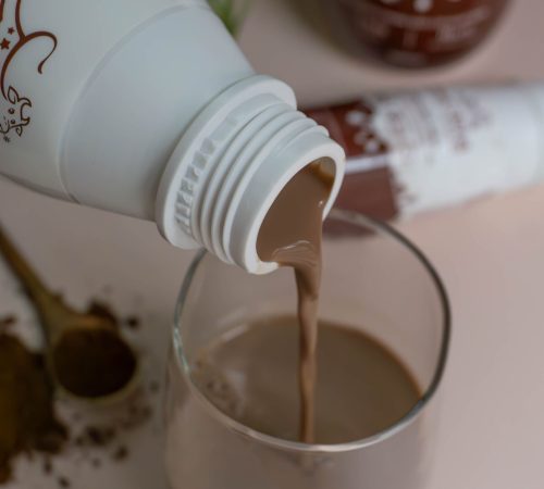 Sữa tươi cacao hữu cơ thanh trùng Mục Đồng